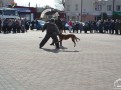 DSC_0640.JPG