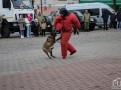 IMG_0704