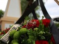 IMG_0789