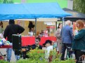 IMG_0980