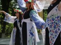 IMG_0985