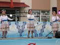 IMG_1054