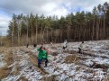 IMG_20210406_103801