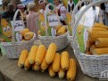 IMG_5807