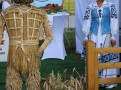 IMG_5953