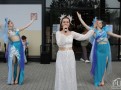 IMG_6231