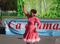 IMG_6530
