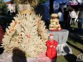 IMG_6625
