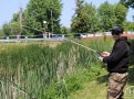 IMG_7441