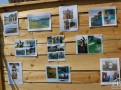 IMG_7447
