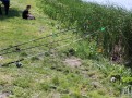 IMG_7455