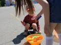 IMG_7533