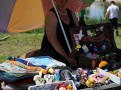 IMG_7581