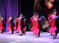 IMG_9041