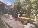 Im_517