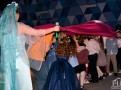 _DSC0384