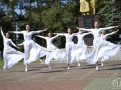 _DSC0531