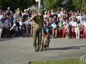 _DSC0842