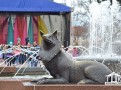 colorfest2017-106