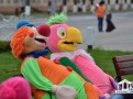 colorfest2017-111