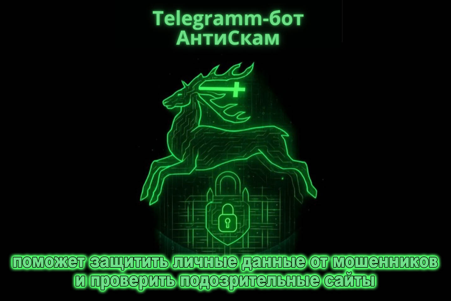 Telegramm-бот АнтиСкам